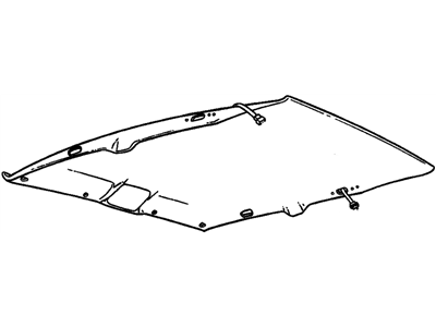 GM 12538614 PANEL, Roof Headlining