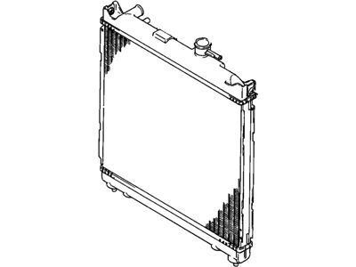 GM 96059642 Engine Radiator Assembly (W/At)