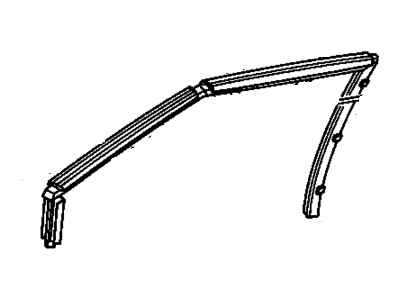 Buick Electra Window Channel - 20731964