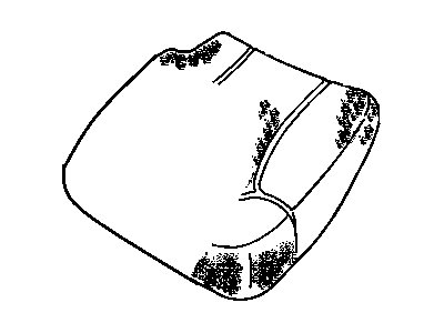 GM 12470025 Pad,Rear Seat Cushion RH