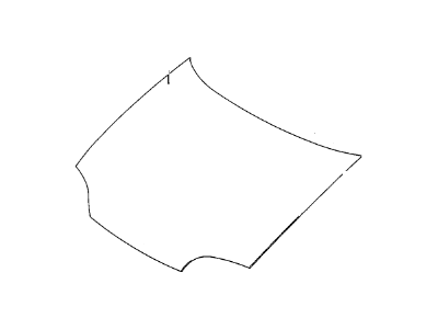 GM 96067325 Hood