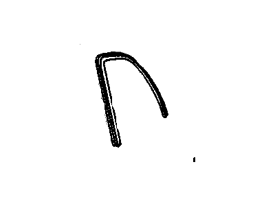 GM 96066673 Trim - Rear Door Opening *Black