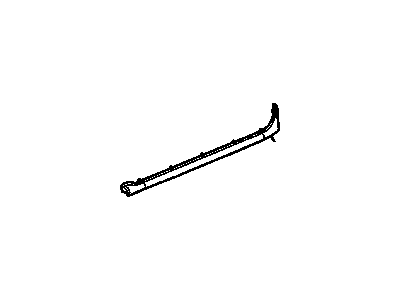 GM 25733019 Weatherstrip, Rear Side Door Lower Auxiliary