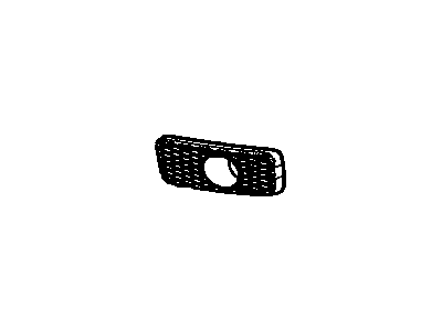 GM 10365708 Grille, Front Bumper Lower Fascia Trim Insert