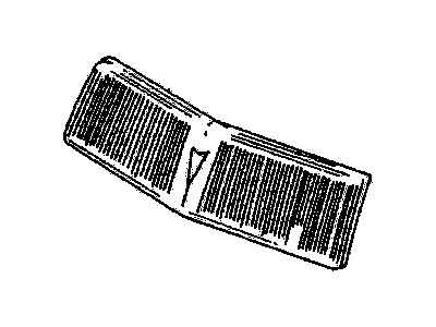 GM 10020544 Grille,Radiator