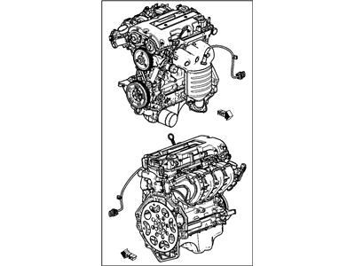 GM 25200149 Engine Asm,Gasoline (Service)