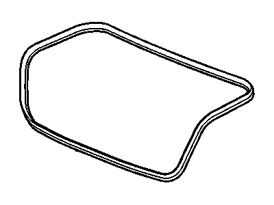 2010 Chevrolet Impala Weather Strip - 89025247