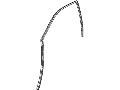 GM 24419428 Weatherstrip Asm,Front Side Door Window