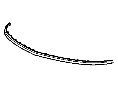 GM 25961908 Strip, Front Bumper Rubber