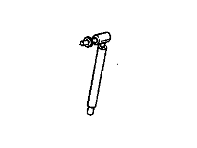 GM 10196026 Strut Assembly, Lift Gate