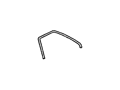 GM 97048032 Weatherstrip,Roof Side Rail