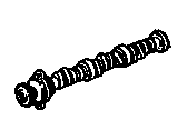 Buick Century Camshaft - 1262835 Cams, 231