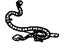 GM 10369282 Harness Assembly, Fwd Lamp Wiring