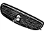 GM 10287933 Grille, Radiator *Paint To Mat