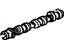 GM 12625987 Camshaft Assembly, Exhaust