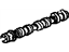 GM 12578511 Camshaft Assembly, Intake