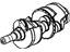 GM 12561395 Crankshaft (Machining)