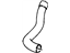 GM 10230746 Radiator Outlet Hose (Lower)