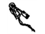 GM 23209886 Coil, Radio Antenna Ground
