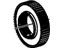 GM 24238921 Sprag,Low Clutch