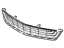 GM 42739819 Grille, Front Lwr