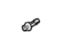 GM 42706202 Pivot, Lugg Shade *Jet Black