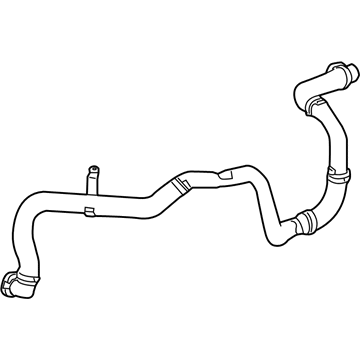 GM 15869706 Hose Assembly, Secondary Air Injection Pump