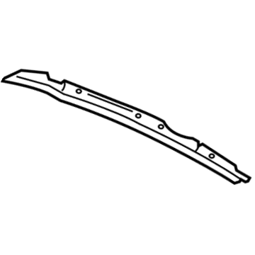 GM 20864655 Weatherstrip Assembly, Front Side Door Front Lower