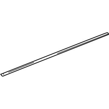 GM 94777471 Weatherstrip Assembly, Front Side Door Lower Auxiliary
