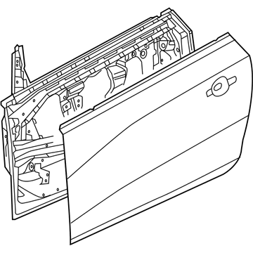 GM 13383636 Door Assembly, Front Side