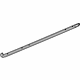 GM 22820148 Weatherstrip Assembly, Front Side Door Lower Auxiliary
