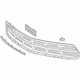GM 23507619 Grille Assembly, Front Lower *Carbon Flasht