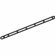 GM 23253592 Weatherstrip Assembly, Front Side Door Lower Auxiliary