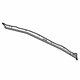 GM 20964208 Weatherstrip Assembly, Front Side Door Front Auxiliary