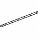 GM 23253590 Weatherstrip Assembly, Front Side Door Lower Auxiliary