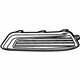 GM 23455346 Grille Assembly, Front Lower Outer