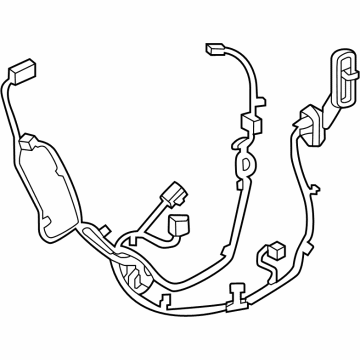 GM 42845563 HARNESS ASM-RR S/D DR WRG