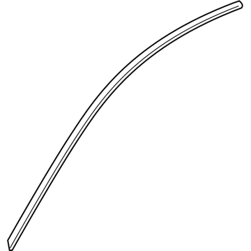 2023 Cadillac LYRIQ Door Moldings - 84717091