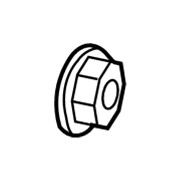 GM 13217120 Nut,Front Wheel Drive Shaft