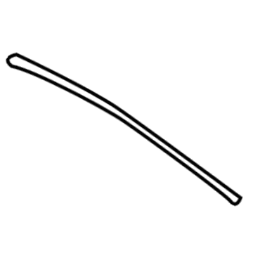 Saturn LW2 Door Seal - 24419430