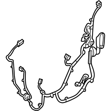 GM 84318603 Harness Assembly, Front S/D Dr Wrg