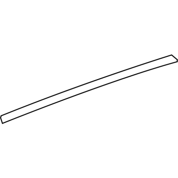 2023 Cadillac LYRIQ Door Moldings - 84717095