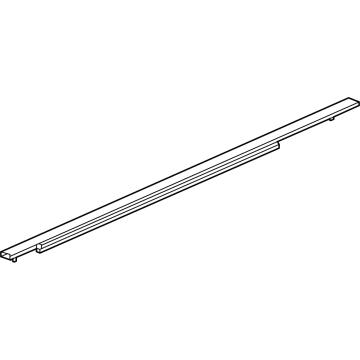 2023 Cadillac LYRIQ Door Moldings - 85590285