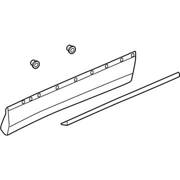 GM Door Moldings - 84647210