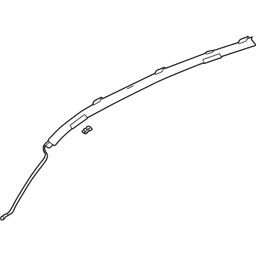 GM 15823013 Airbag,Roof Side Rail