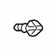 GM 13303883 Valve Assembly, Power Brake Booster Vacuum Check