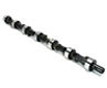 Buick Skyhawk Camshaft