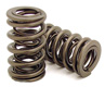 GM Rocker Shaft Spring Kit