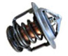 GM Thermostat