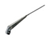 Windshield Wiper